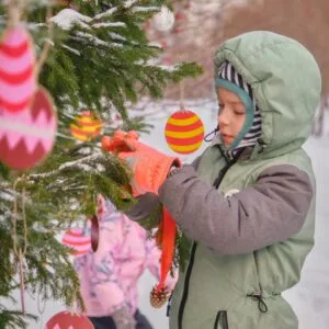 other_ogorod1-300x300.jpg