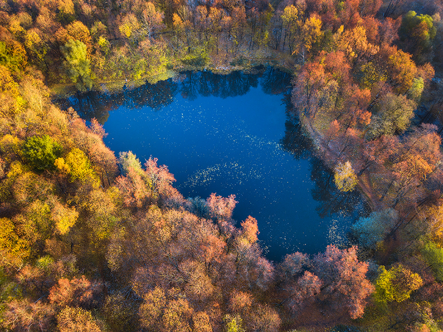 Усадьба Быково. Изображение 4