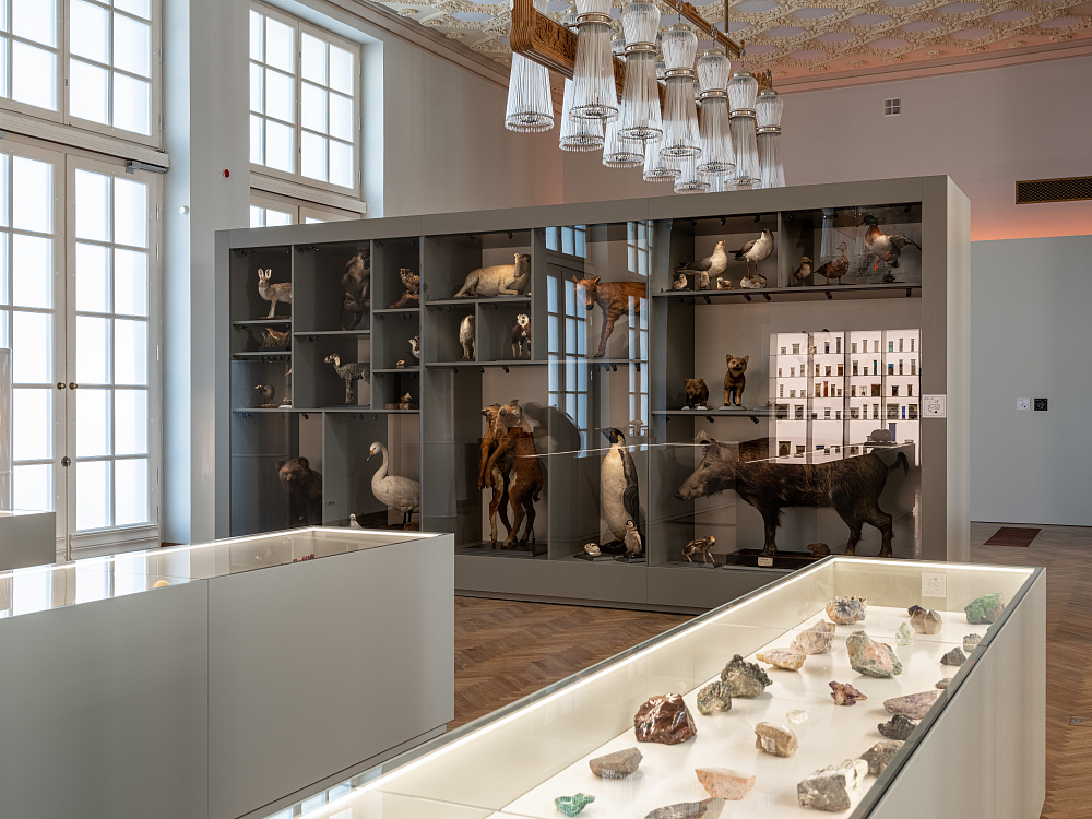 Выставка «12 признаков живого». Изображение 3