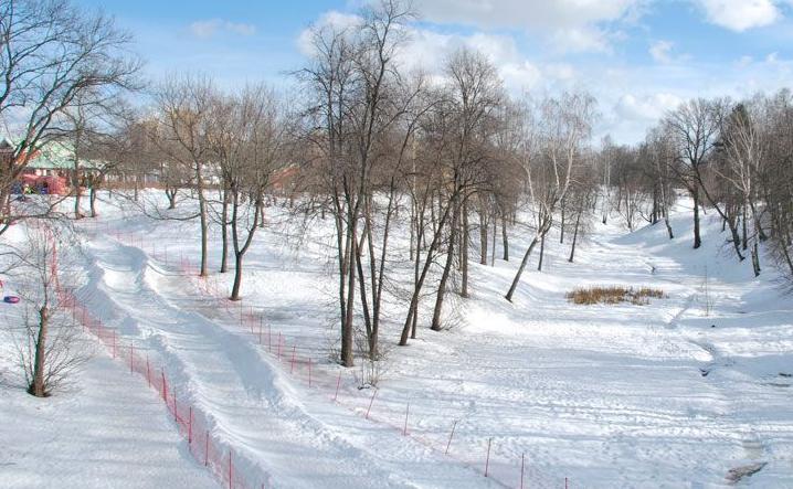 Горки с тюбингом Царицыно. Изображение 2