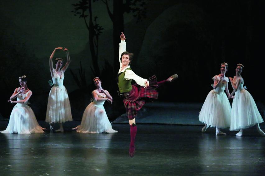 Сильфида. Изображение 8