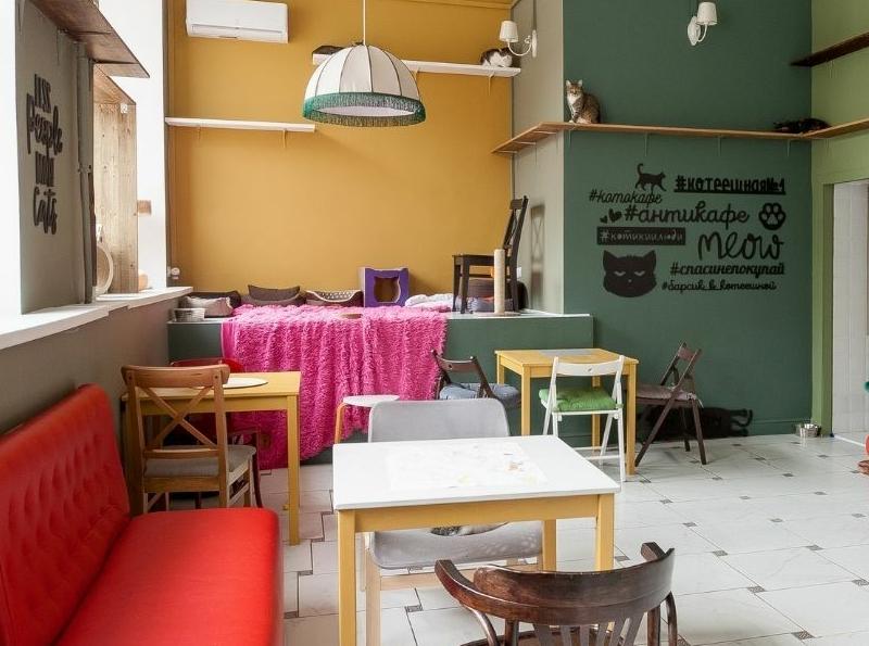 Котокафе "Котеешная №1". Изображение 5