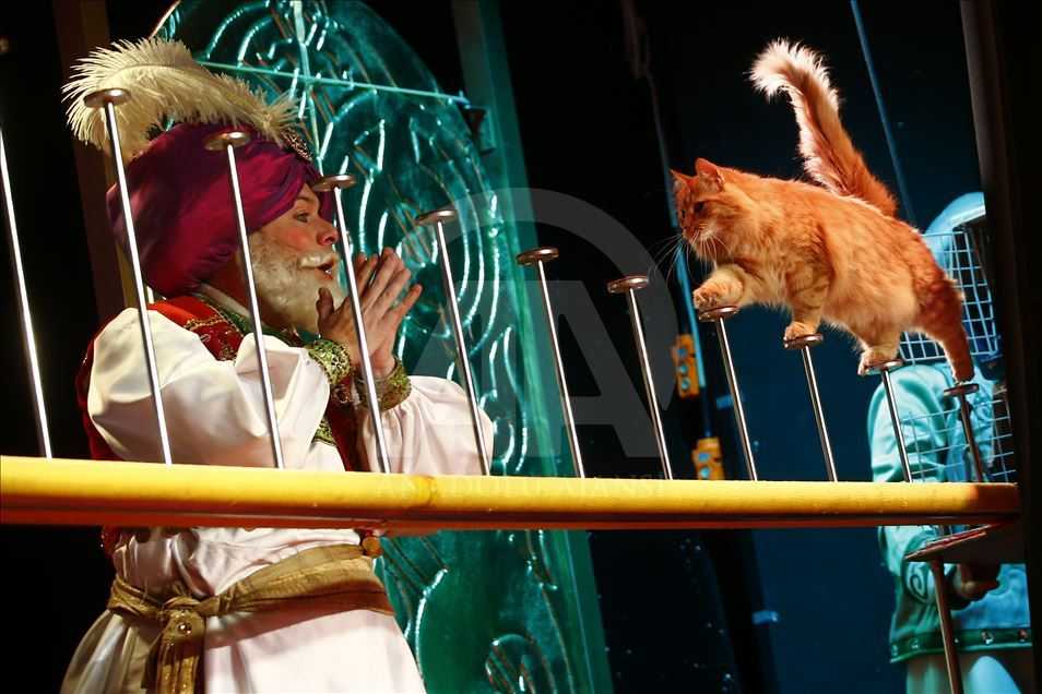 Театр кошек Куклачева. Изображение 5