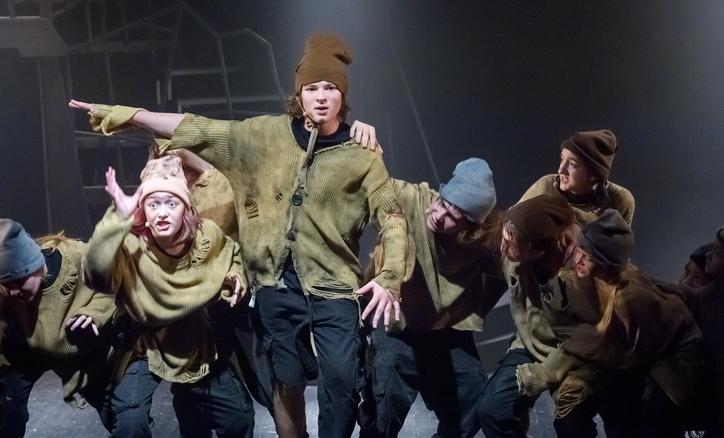 Собаки (ДМТЮА). Изображение 10