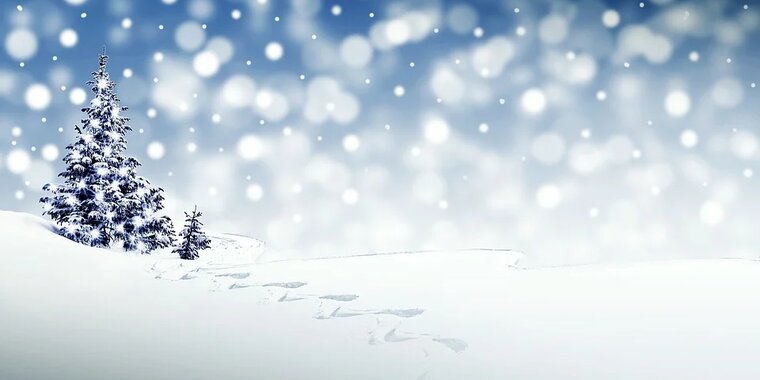 «Год Лошади» и спектакль «Морозко». Изображение 1