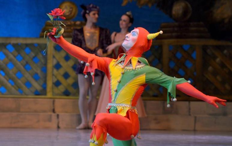 Лебединое озеро (на сцене ЦКИ «Меридиан»). Изображение 11