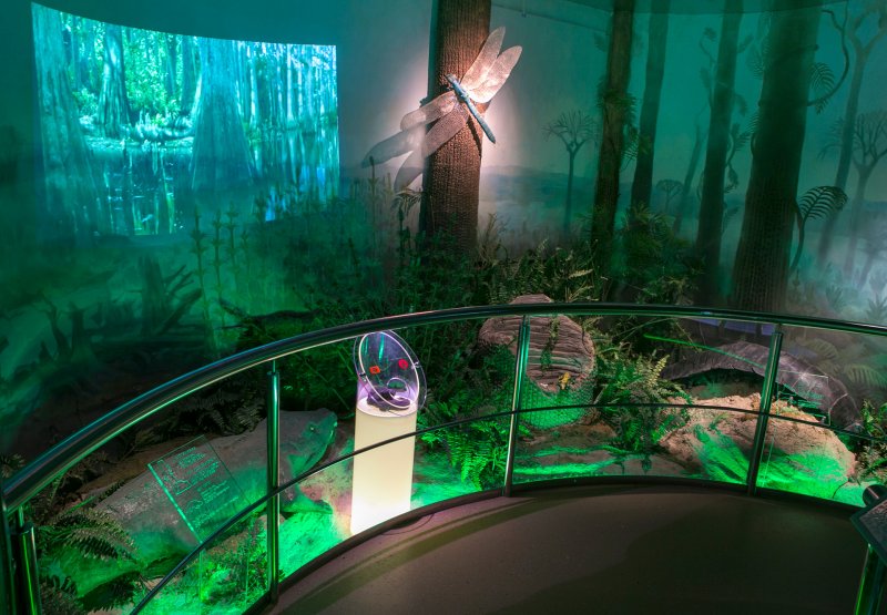 Пройди путем эволюции. Изображение 7