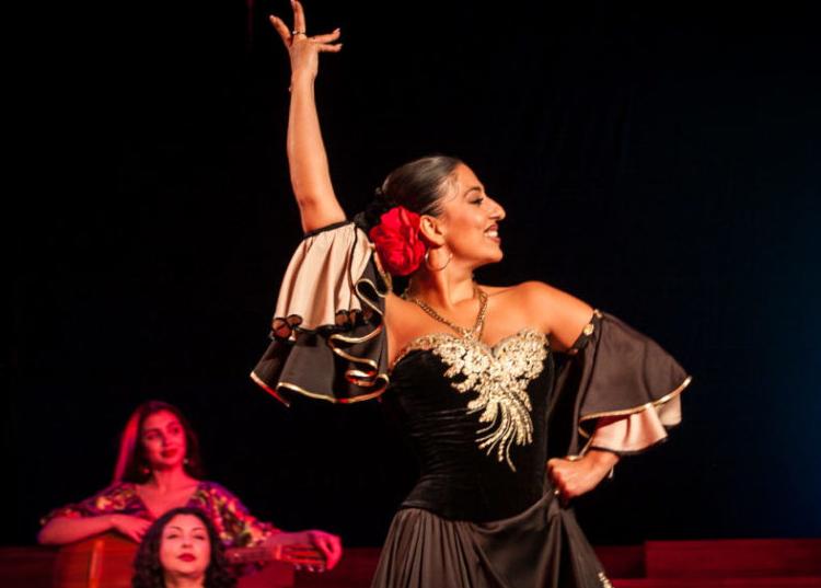 Мы – цыгане. Изображение 13