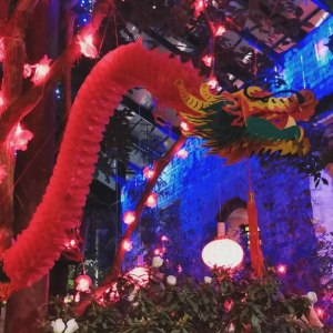 Фестиваль Китайского Нового года. Изображение 2