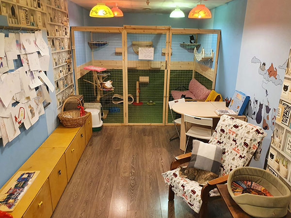 Котокафе "Мурчашка". Изображение 5