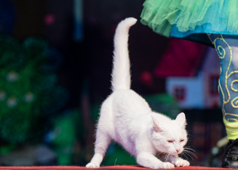 Вирион. Изображение 1