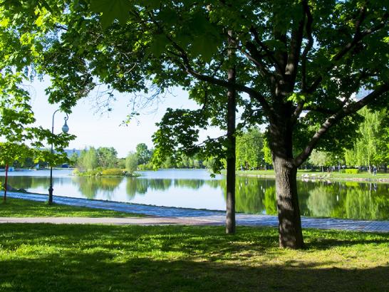 Парк "Ангарские пруды". Изображение 1