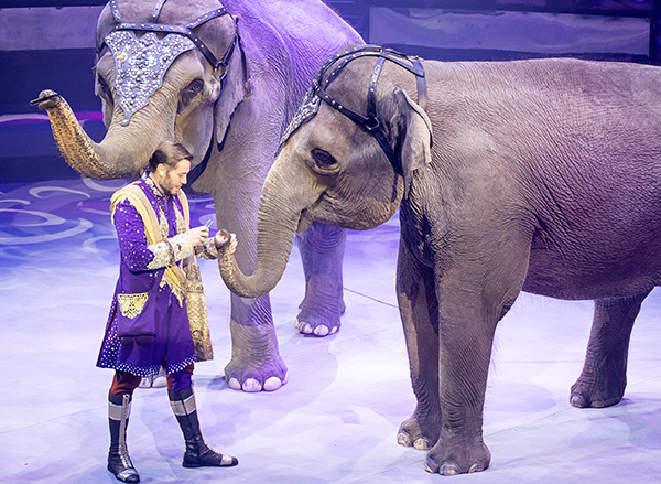 ВСЕМИРНЫЙ ФЕСТИВАЛЬ ЦИРКОВОГО ИСКУССТВА «ИДОЛ». Изображение 5