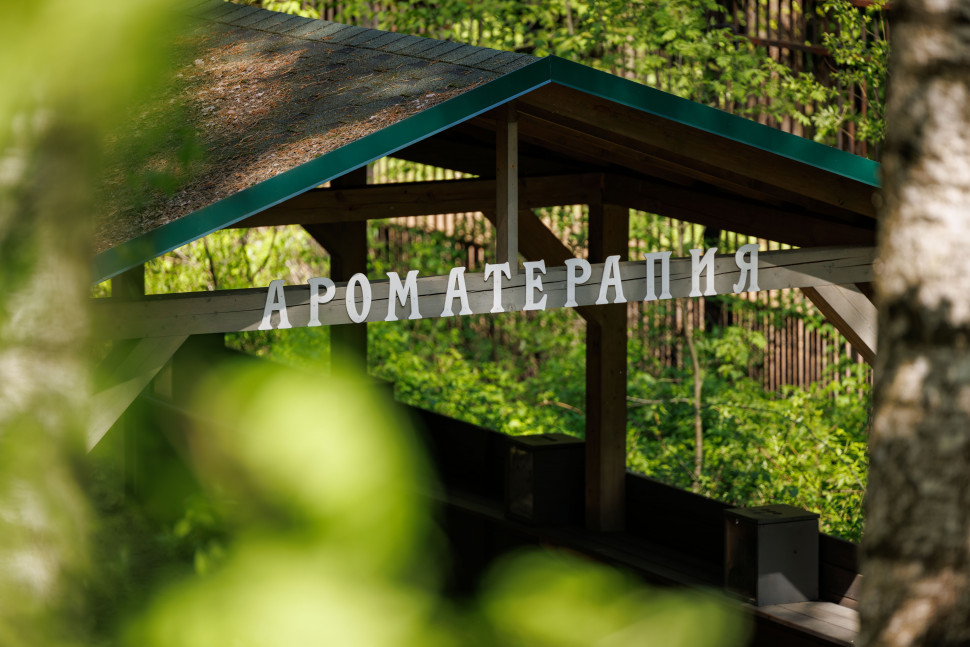 Экологическая экспозиция «Леса России». Изображение 3