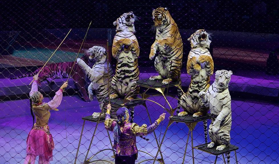 Сказка о Золотой рыбке. Изображение 7