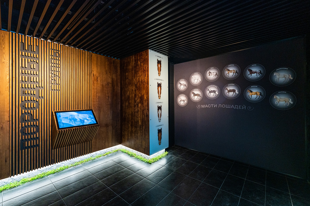 Музей лошади и Конный театр. Изображение 6