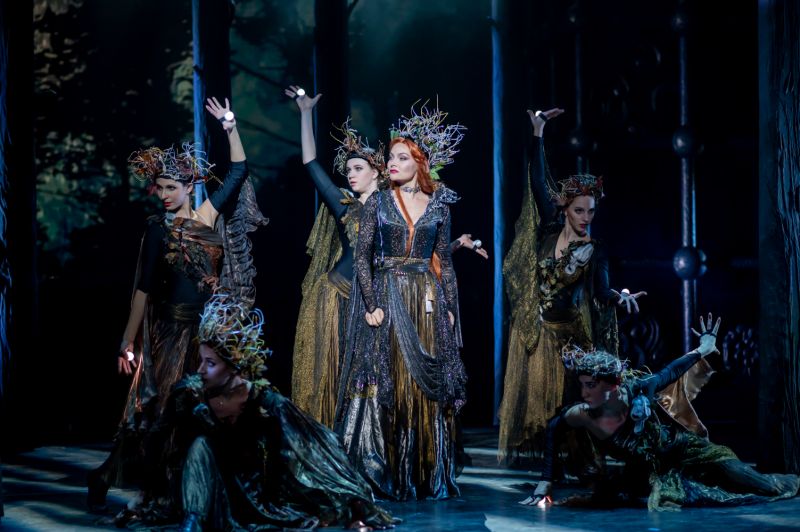 Князь Серебряный . Изображение 13