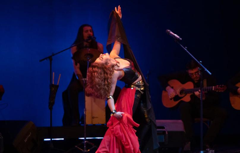 Дрома ромэн. Изображение 7