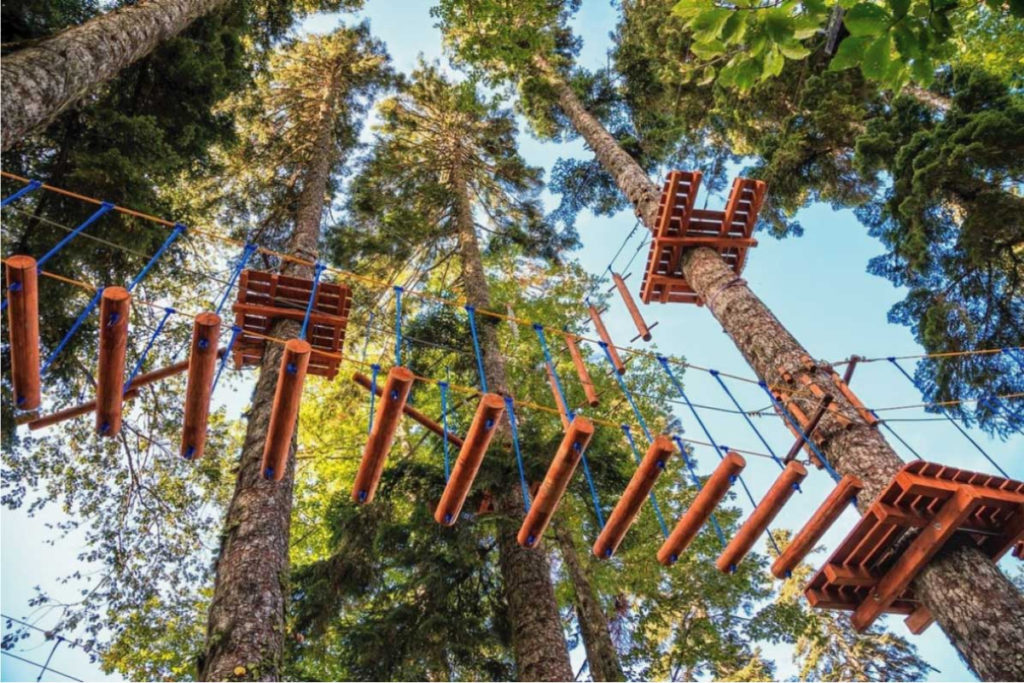 ПандаПарк Мещерский. Изображение 2