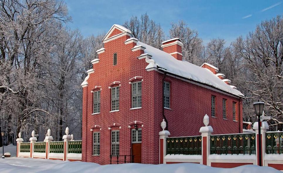 Голландский Новый год. Изображение 1