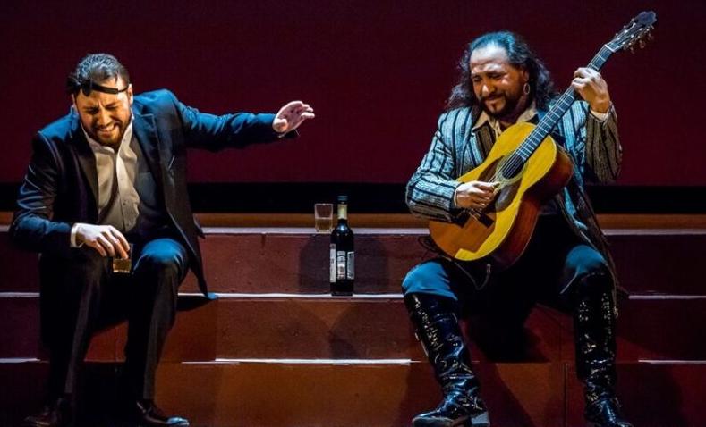 Поющие струны души. Изображение 1