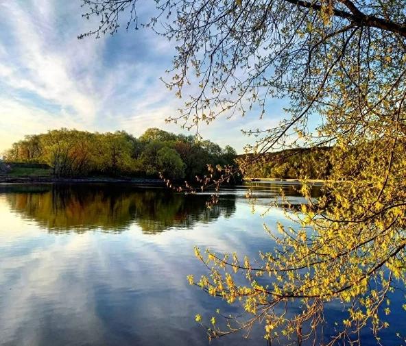 Парк Фили. Изображение 2