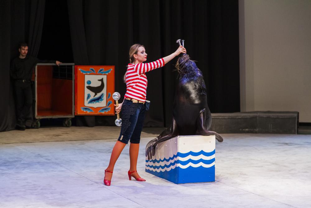 Необыкновенное путешествие. Изображение 4