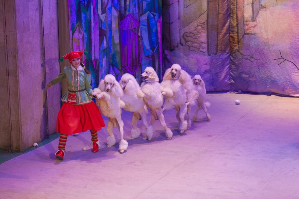 По следам Снежной Королевы. Изображение 3