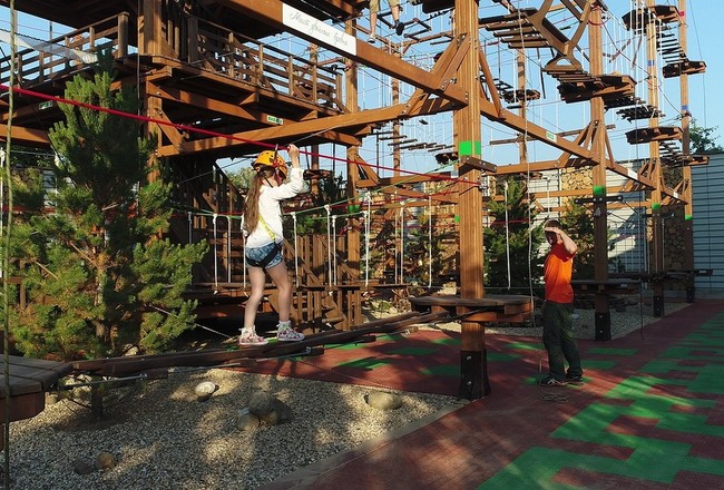 Веревочный парк «Птицы и Пчелы». Изображение 6