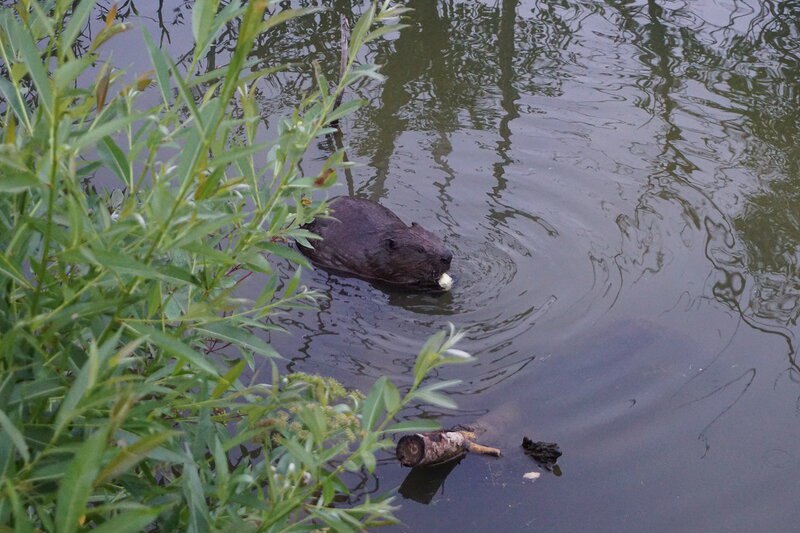 Пытливые 0+. Изображение 6