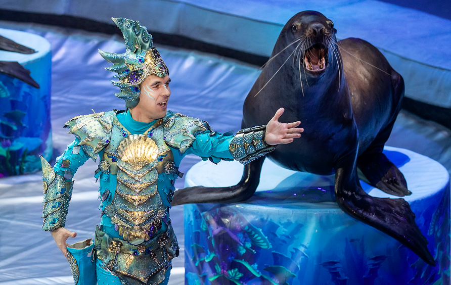 Сказка о Золотой рыбке. Изображение 8