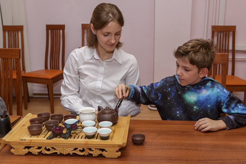 День Панды в Дарвиновском музее. Изображение 4