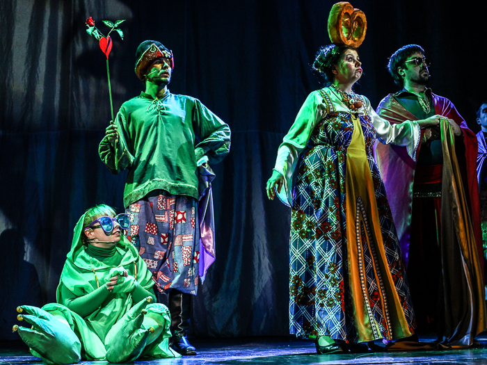 Царевна-лягушка (Театр п/р В. Спесивцева). Изображение 4