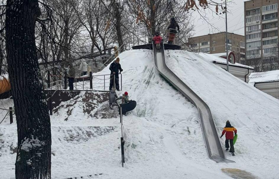 Делегатский парк. Изображение 2