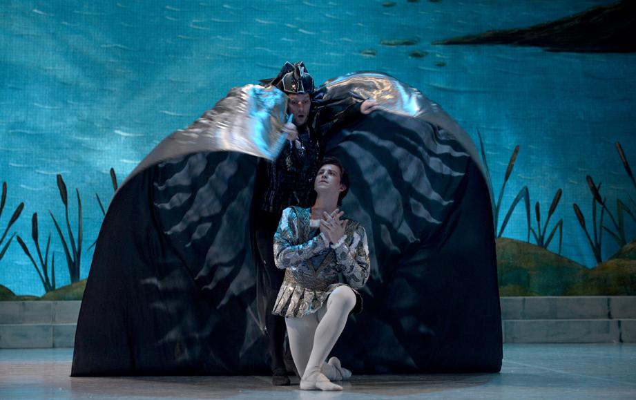 Лебединое озеро (на сцене ЦКИ «Меридиан»). Изображение 5