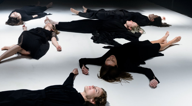 Поле. Изображение 2