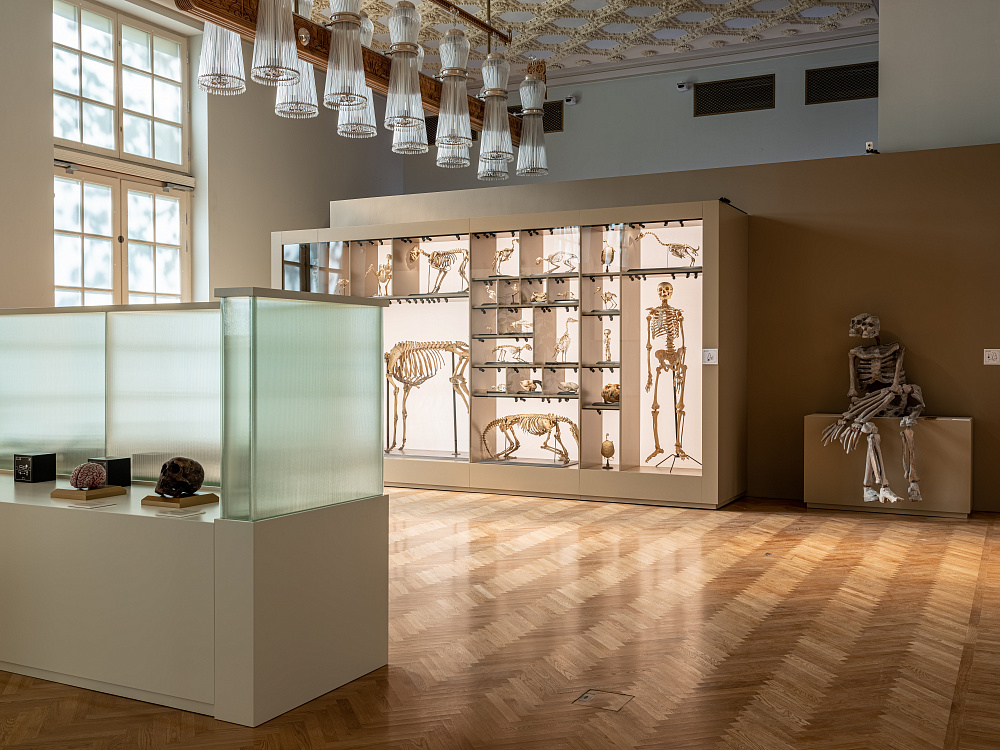 Выставка «12 признаков живого». Изображение 2