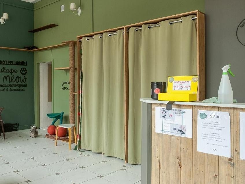Котокафе "Котеешная №1". Изображение 3