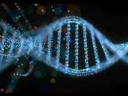 Занятие мир под микроскопом «Выделение ДНК». Изображение 1