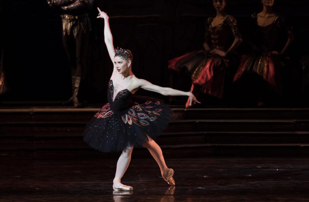 Лебединое озеро (МАМТ). Изображение 4