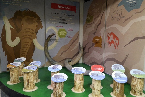 Музей слонов в Московском Зоопарке. Изображение 2