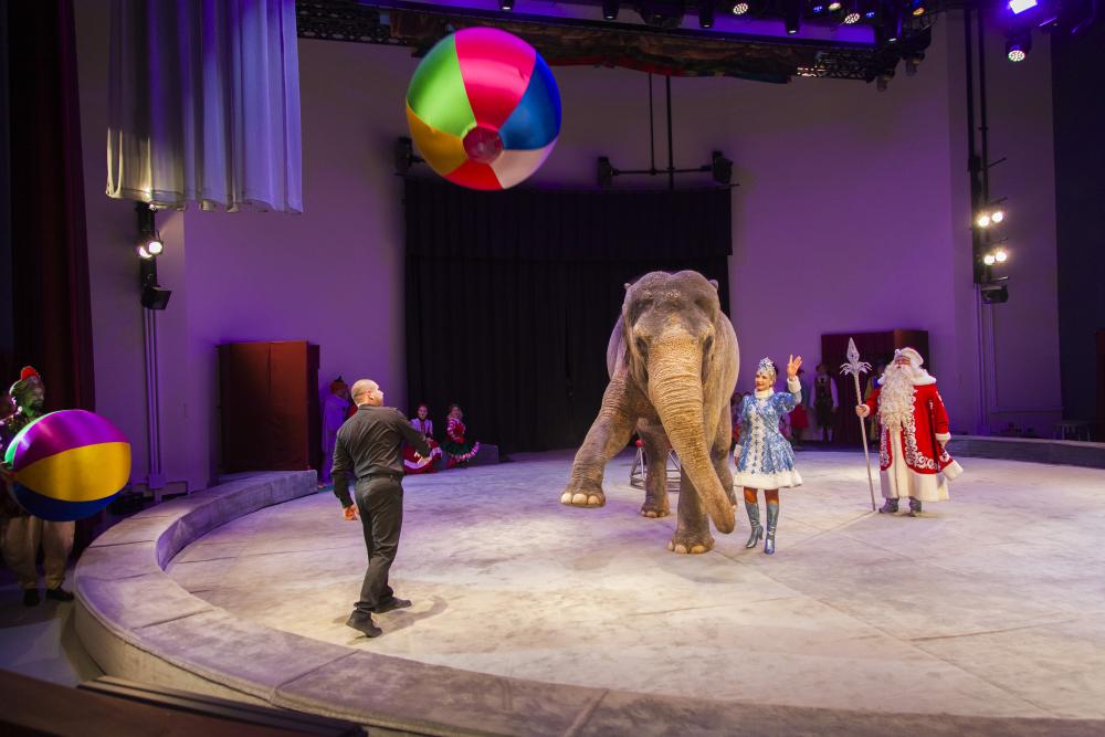 Необыкновенное путешествие. Изображение 1