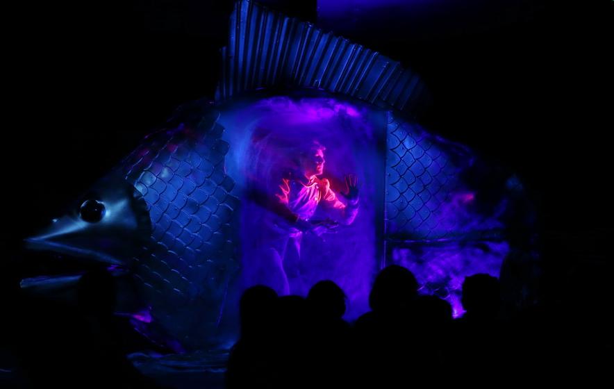 Стойкий оловянный солдатик (на сцене ДМТЮА). Изображение 5