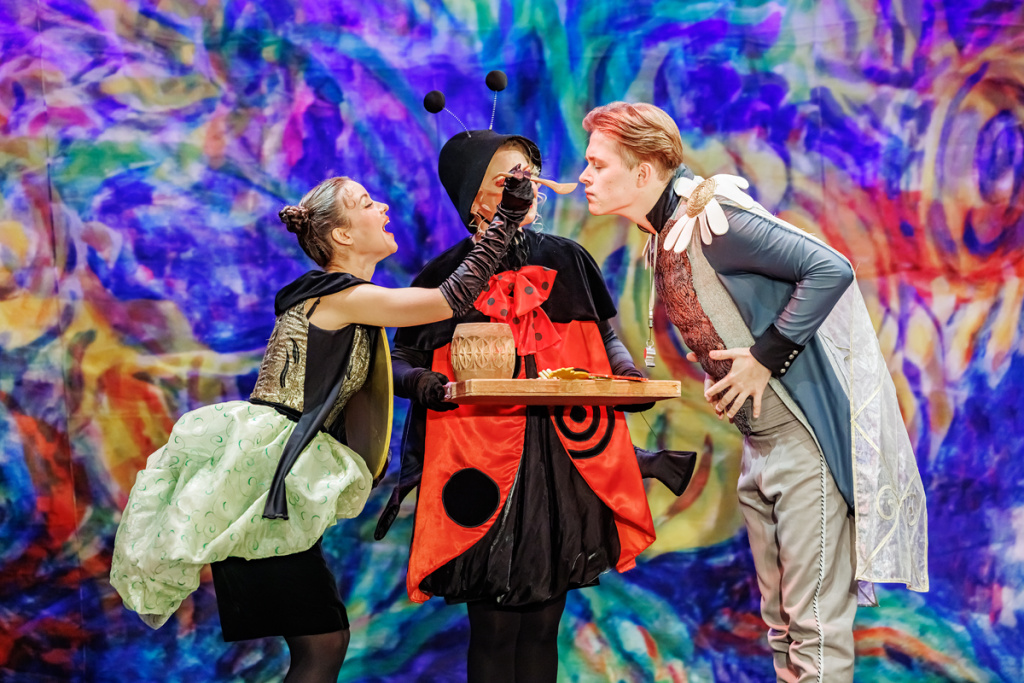 Цокотуха-именинница. Изображение 13