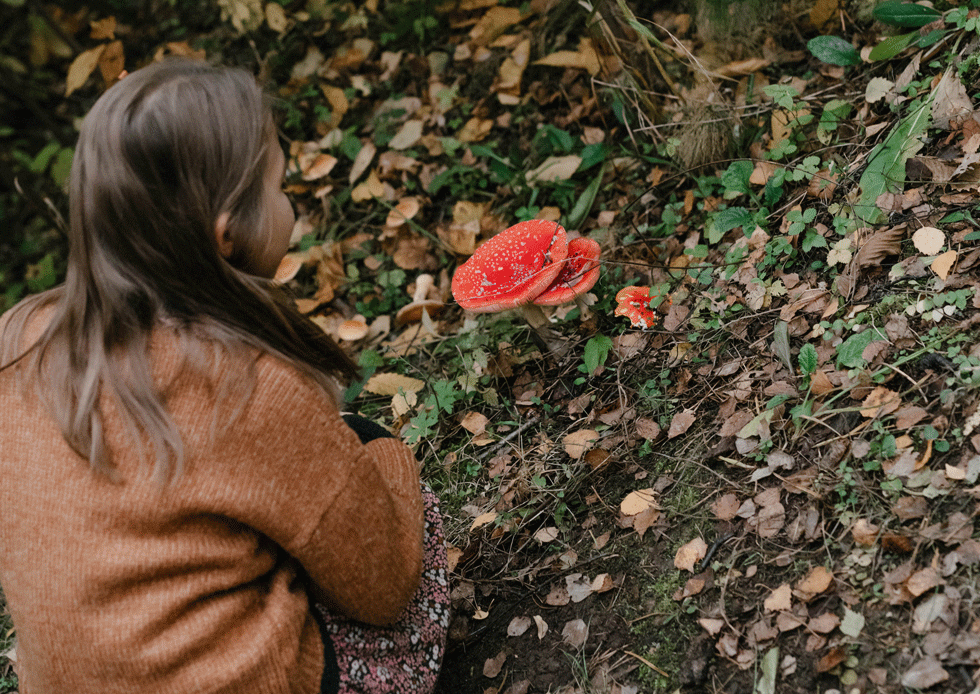 Мещерский парк. Изображение 9