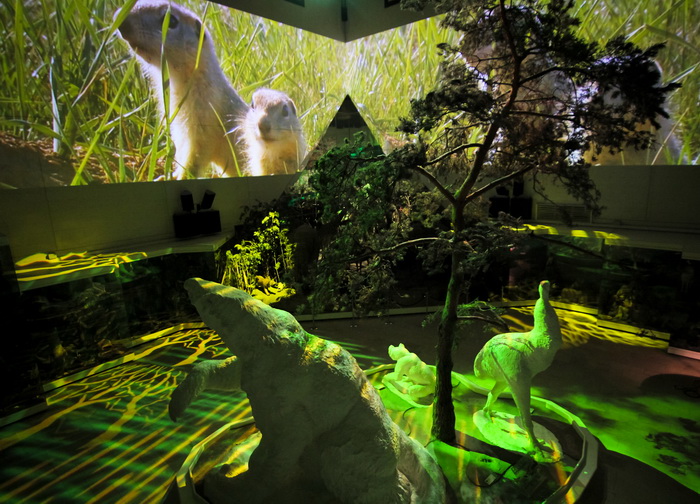 Живая планета. Изображение 3