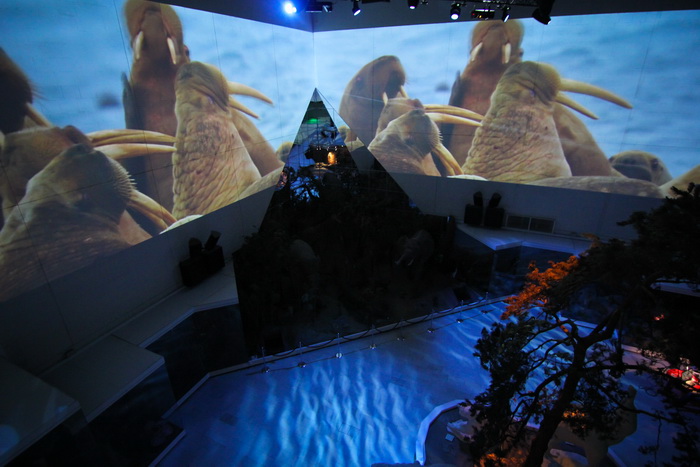 Живая планета. Изображение 2