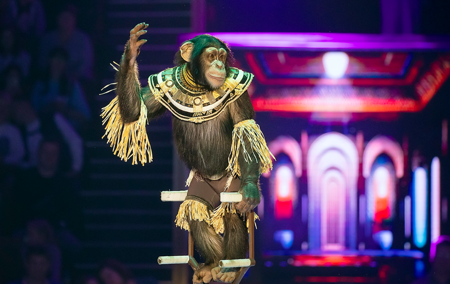 Сказка о Золотой рыбке. Изображение 17