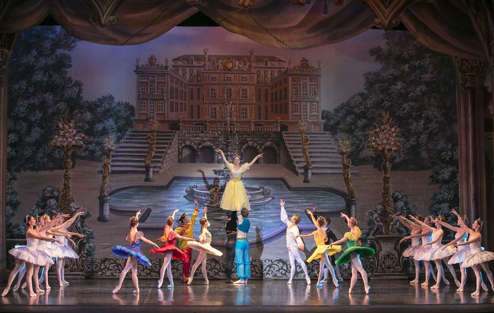 Спящая красавица (РАМТ). Изображение 3