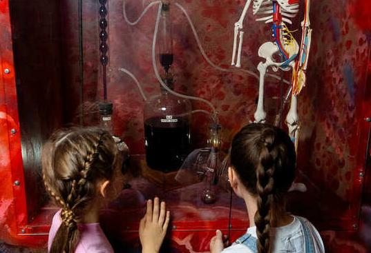 Внутри человека. Изображение 1